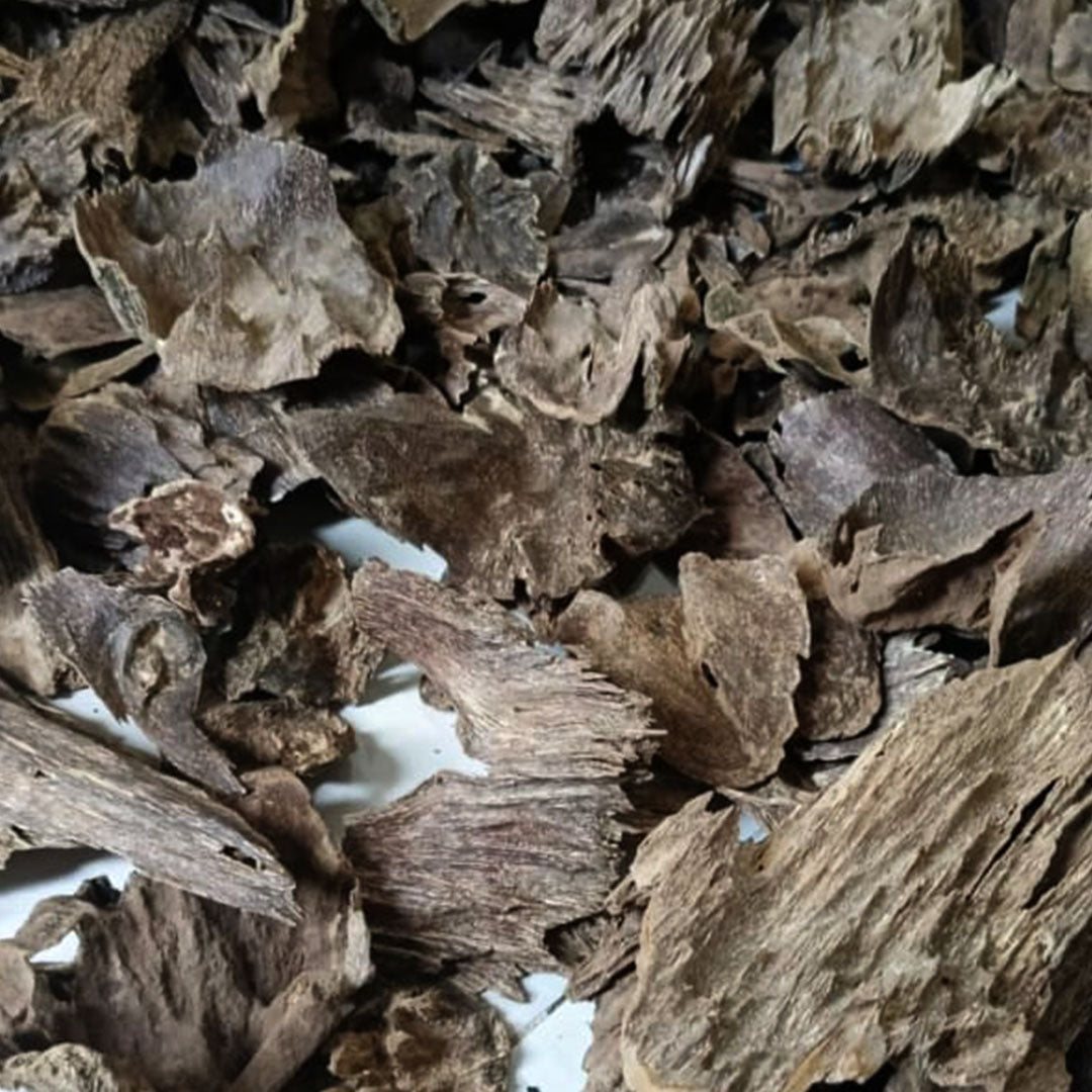 Double Super Silani – 1 Tola (دَبِل سُوپَر سِيلَانِي) – AED 250