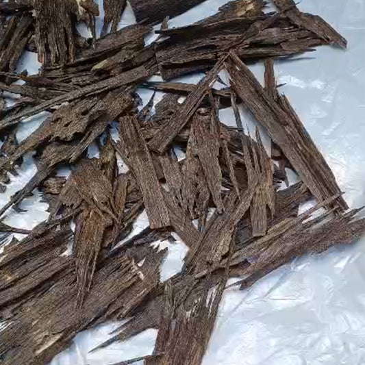 Manipur Oud – 100% Pure (1 Tola)